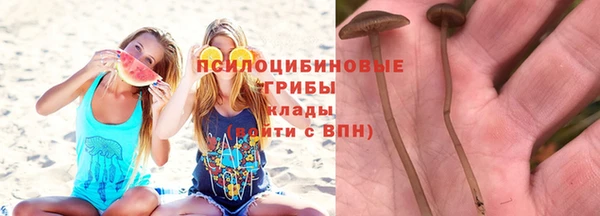 ешки Абдулино